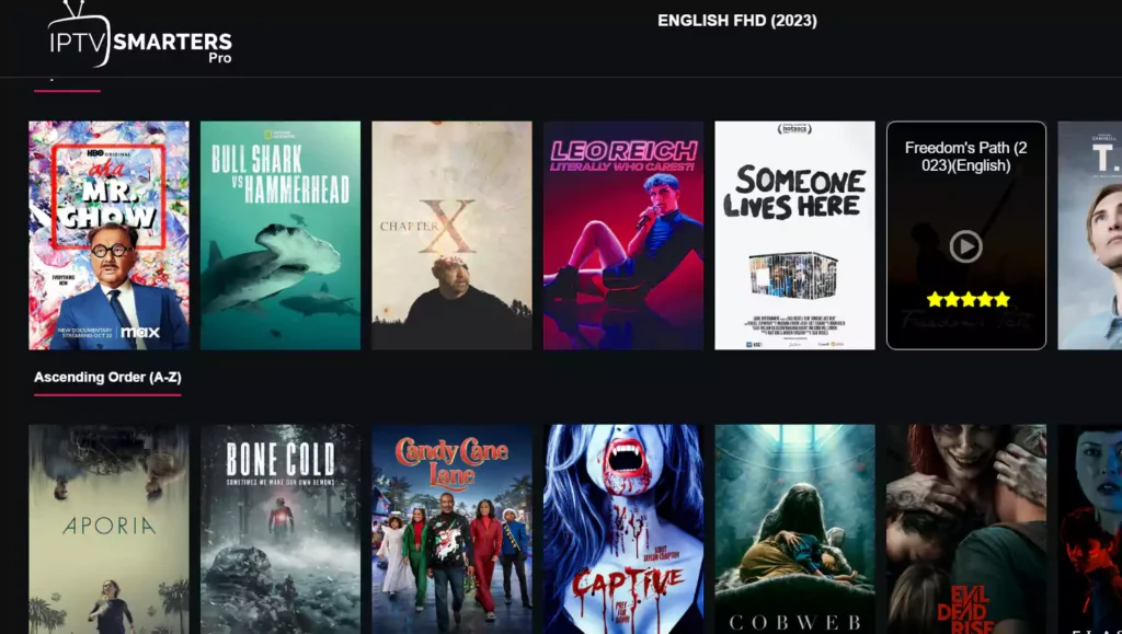 user friendly interface inside iptv smarter pro for users in Dubai